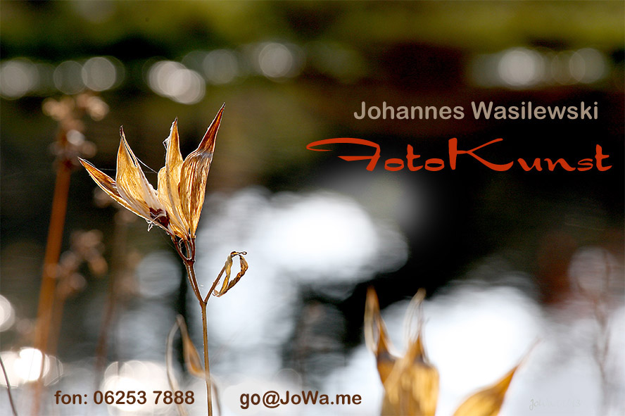 JoWa FotoKunst